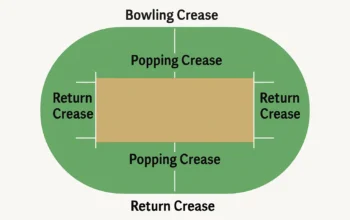 how many creases are there in cricket?