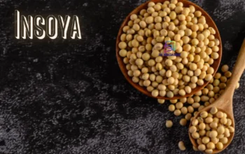 insoya